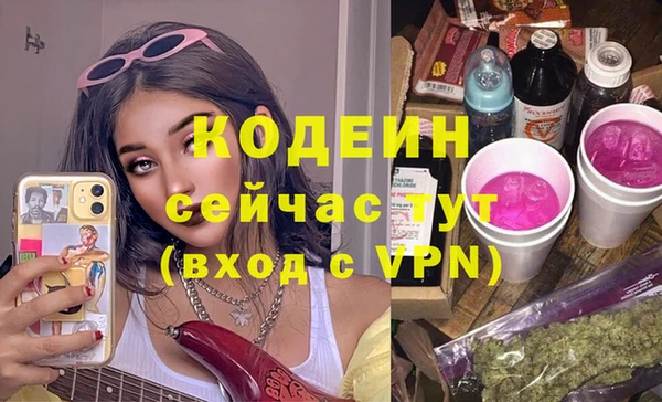 индика Баксан