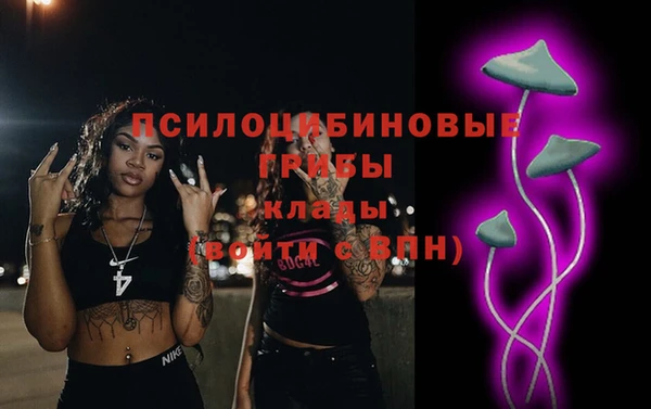 индика Баксан