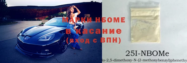 индика Баксан