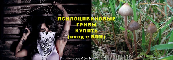 индика Баксан