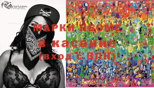 индика Баксан