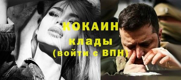 СК Ельня