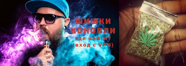 индика Баксан