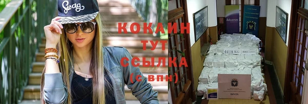 индика Баксан